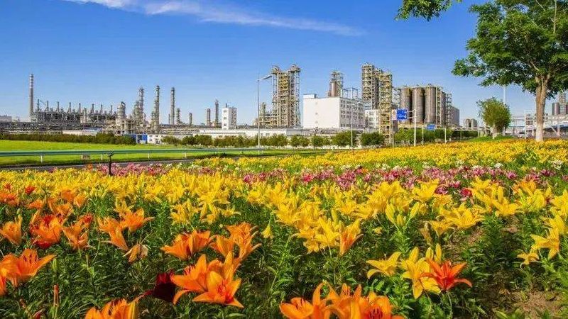 新型防水材料施工：一平方材料用量如何精准控制？**