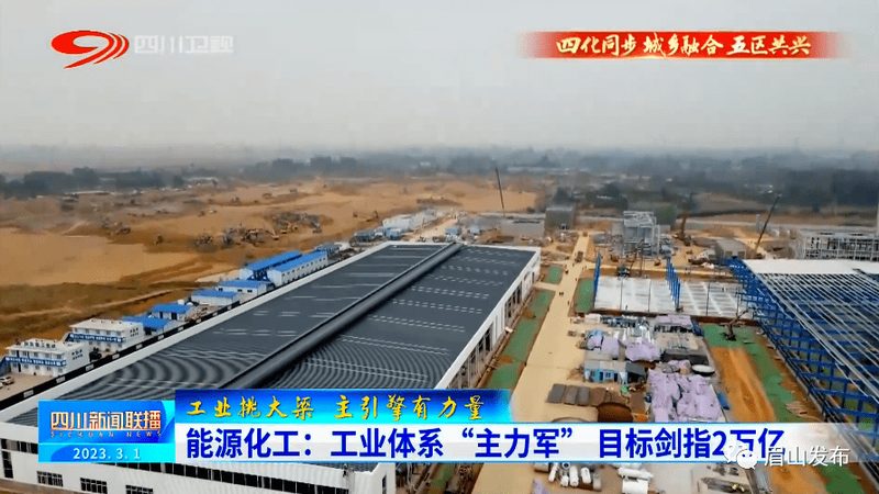 在辨别无机化工原料质量时，需要关注以下检测指标和标准：